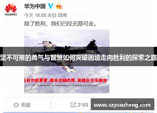 坚不可摧的勇气与智慧如何突破困境走向胜利的探索之路
