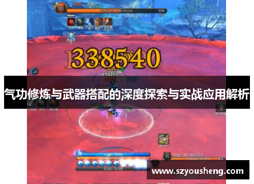 气功修炼与武器搭配的深度探索与实战应用解析